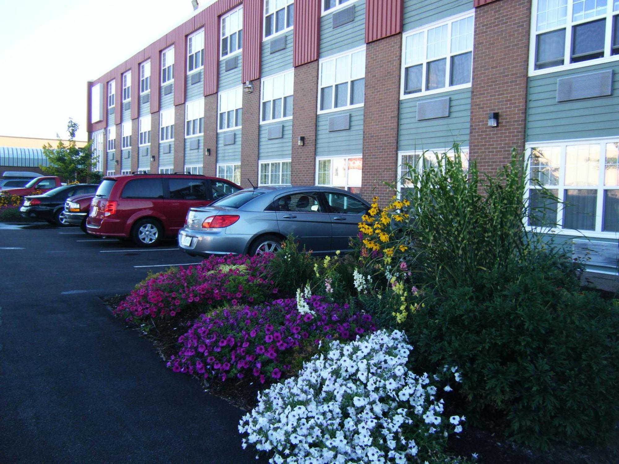 Claymore Inn And Suites Antigonish Exterior foto